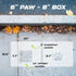 Measurement chart for 6" paw and 8" box on a concrete surface with leaves.