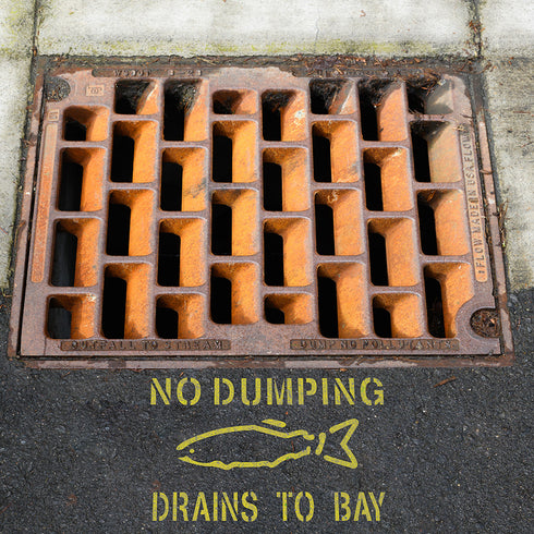 No Dumping Drains to Bay painted next to sewer drain