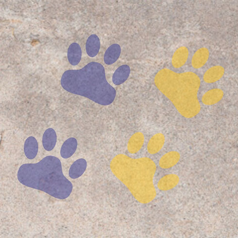 Purple and yellow Wild Cat Paw Prints stenciled on concrete.