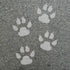 White paw prints stenciled onto a gray asphalt surface