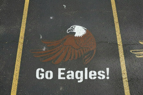 Eagle Landing Mascot Stencil by Stencil Ease