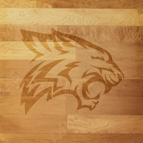 Wildcats Mascot Athletic Stencil