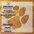 Tiger Paw Stencil Sheet with key highlights of the design and how it can be used.