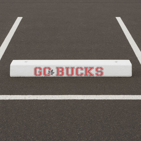 Go Bucks Curb Painting Stencil