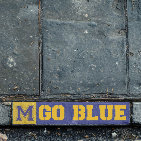 Brick border along a sidewalk with 'M GO BLUE' stenciled onto it