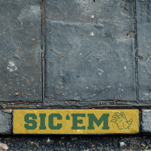 brick paver stenciled with the Sic 'Em Curb Painting Stencil.