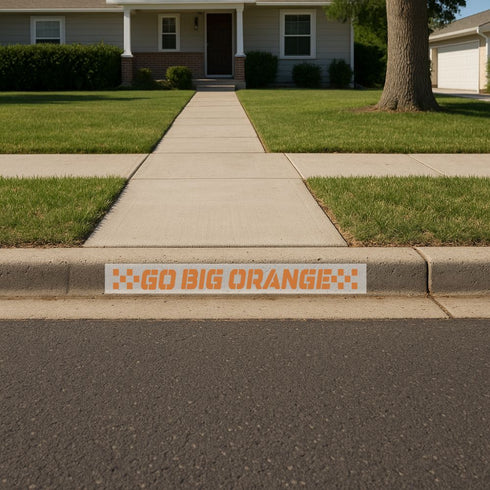 curb painted with the Go Big Orange Curb Painting Stencil