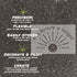 Details about the 'The Future is Bright' stencil.