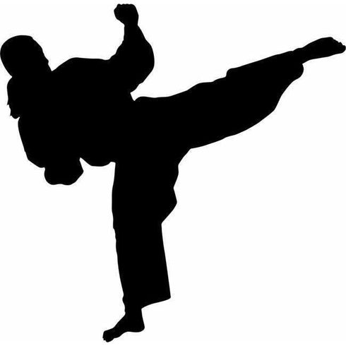 Karate Silhouette Stencils