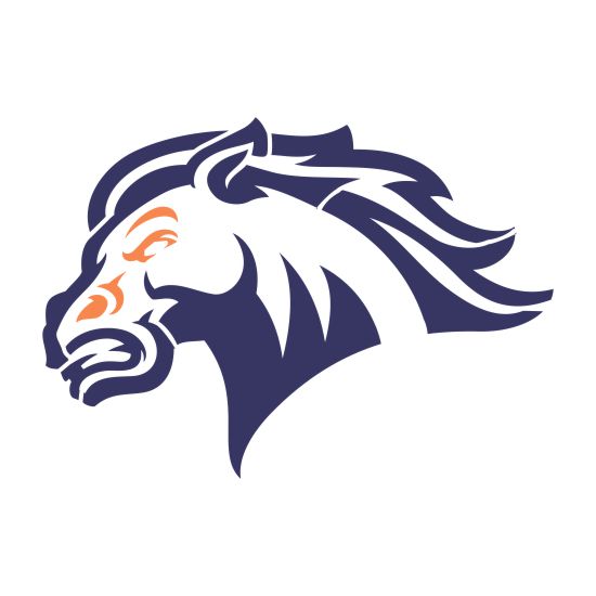 Bronco Head Mascot Stencil