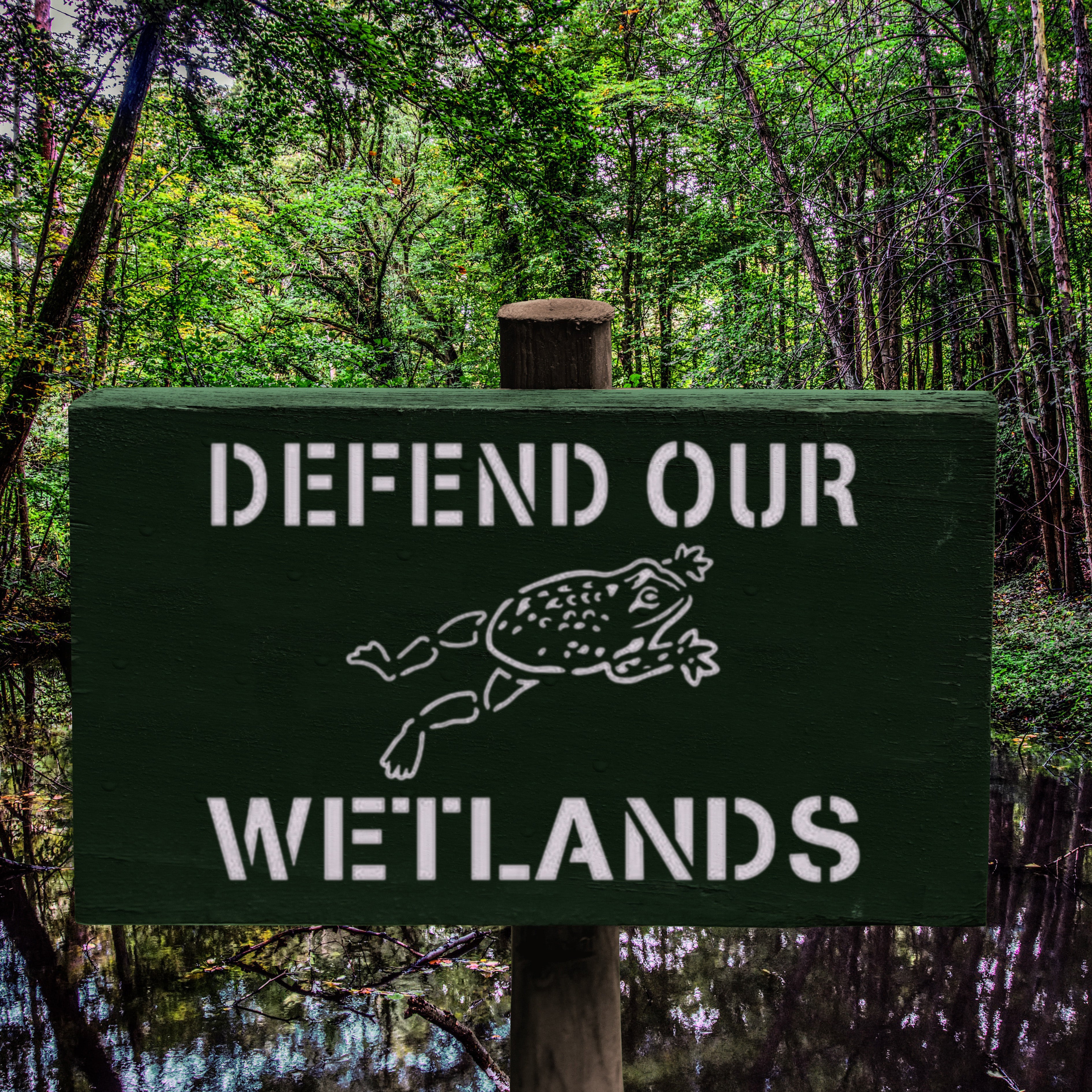 Defend our Wetlands Storm Drain Stencil