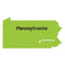 Pennsylvania State Map Stencil