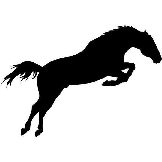 Jumping Horse Stencils