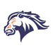 Bronco Head Mascot Stencil