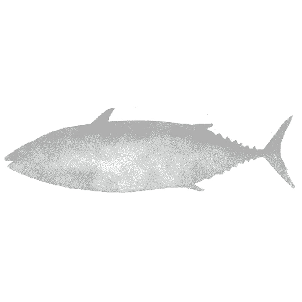 Skip Jack Stencil, for fisherman and DIY projects – Stencil Ease