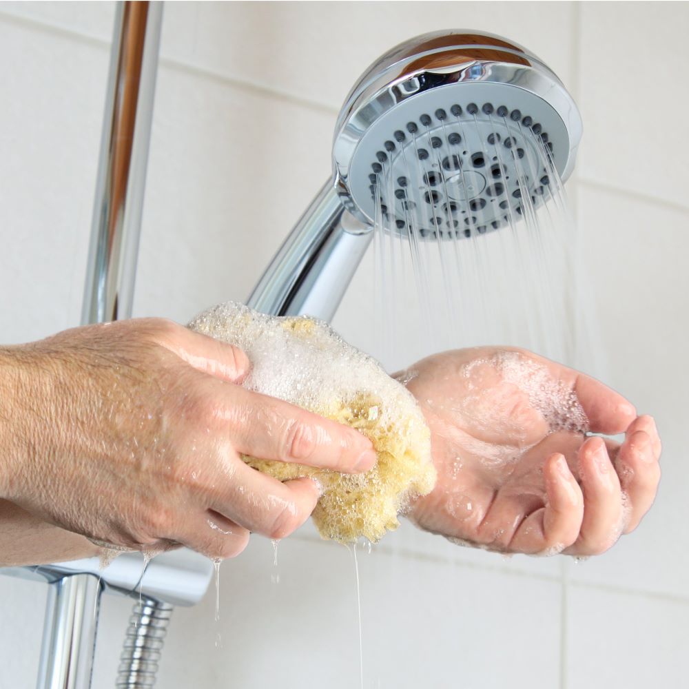 Natural Sea Sponge - Used in the shower