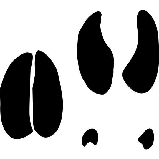 track-stencils